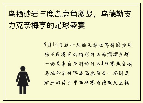 鸟栖砂岩与鹿岛鹿角激战，乌德勒支力克奈梅亨的足球盛宴