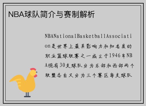 NBA球队简介与赛制解析